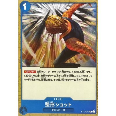 画像1: 整形ショット【C】{ST12-017}