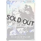 〔状態A-〕マーシャル・D・ティーチ(4周年ロゴ/黒白イラスト)【P】{P-100}