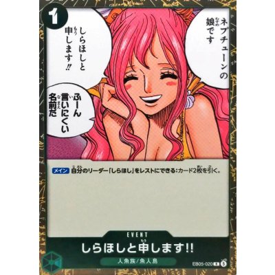 画像1: しらほしと申します!!【R】{EB05-020}