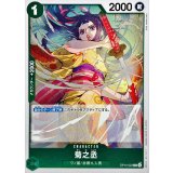 菊之丞【R】{OP14-023}