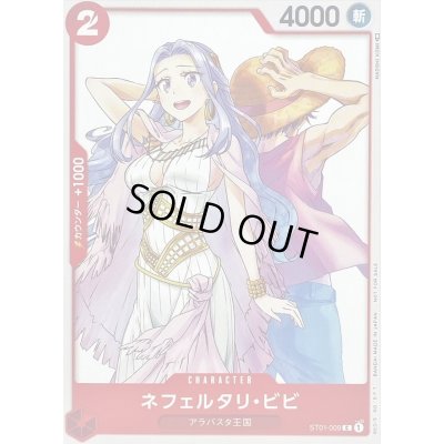 画像1: ネフェルタリ・ビビ(illust:NAOSHI KOMI)【C】{ST01-009}