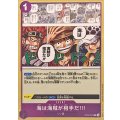 海は海賊が相手だ!!!(ノーマル仕様/三船長)【R】{OP05-076}