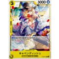キャベンディッシュ【C】{ST36-001}