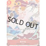 コアラ(中国版/illust:Surie)【P】{P-069}