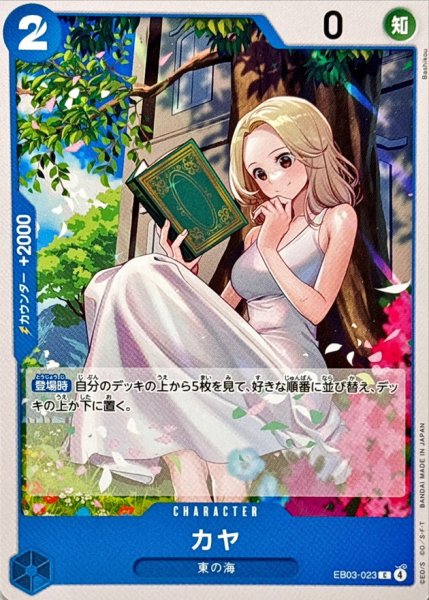 画像1: カヤ【C】{EB03-023} (1)