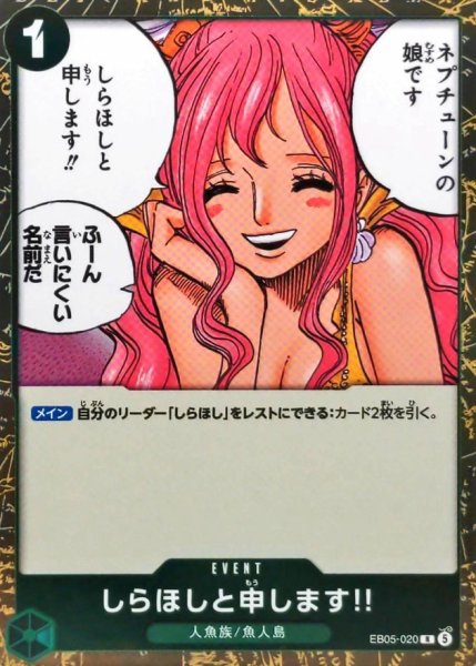 画像1: しらほしと申します!!【R】{EB05-020} (1)