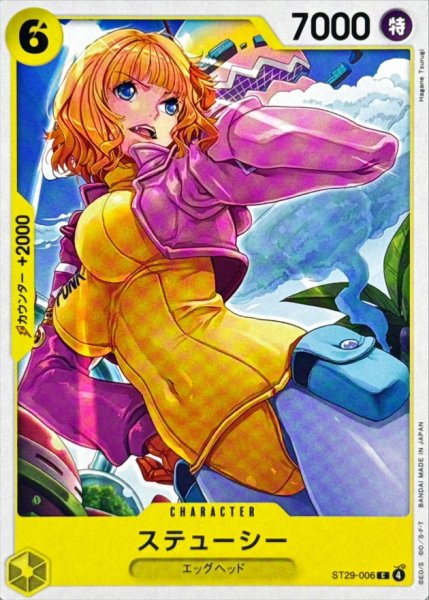 画像1: ステューシー【C】{ST29-006} (1)
