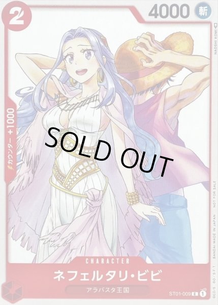 画像1: ネフェルタリ・ビビ(illust:NAOSHI KOMI)【C】{ST01-009} (1)